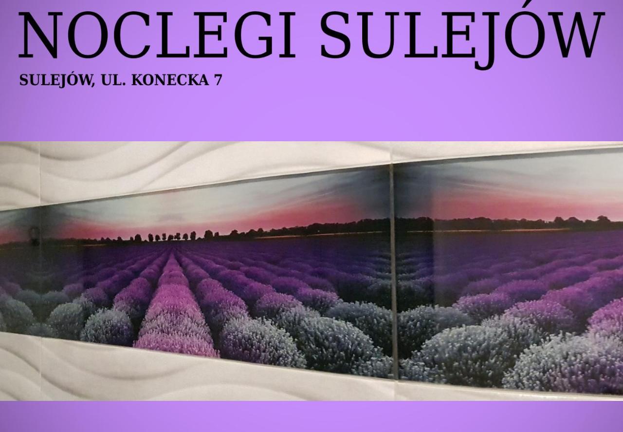 Noclegi Sulejów Esterno foto